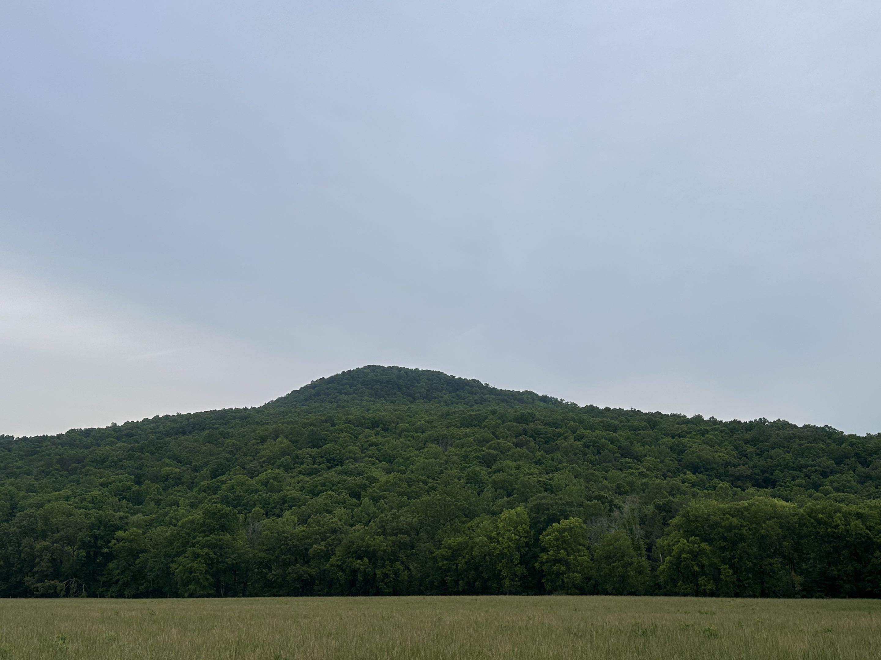 Looking north from Coppinger Cove toward the Cumberland Plateau escarpment