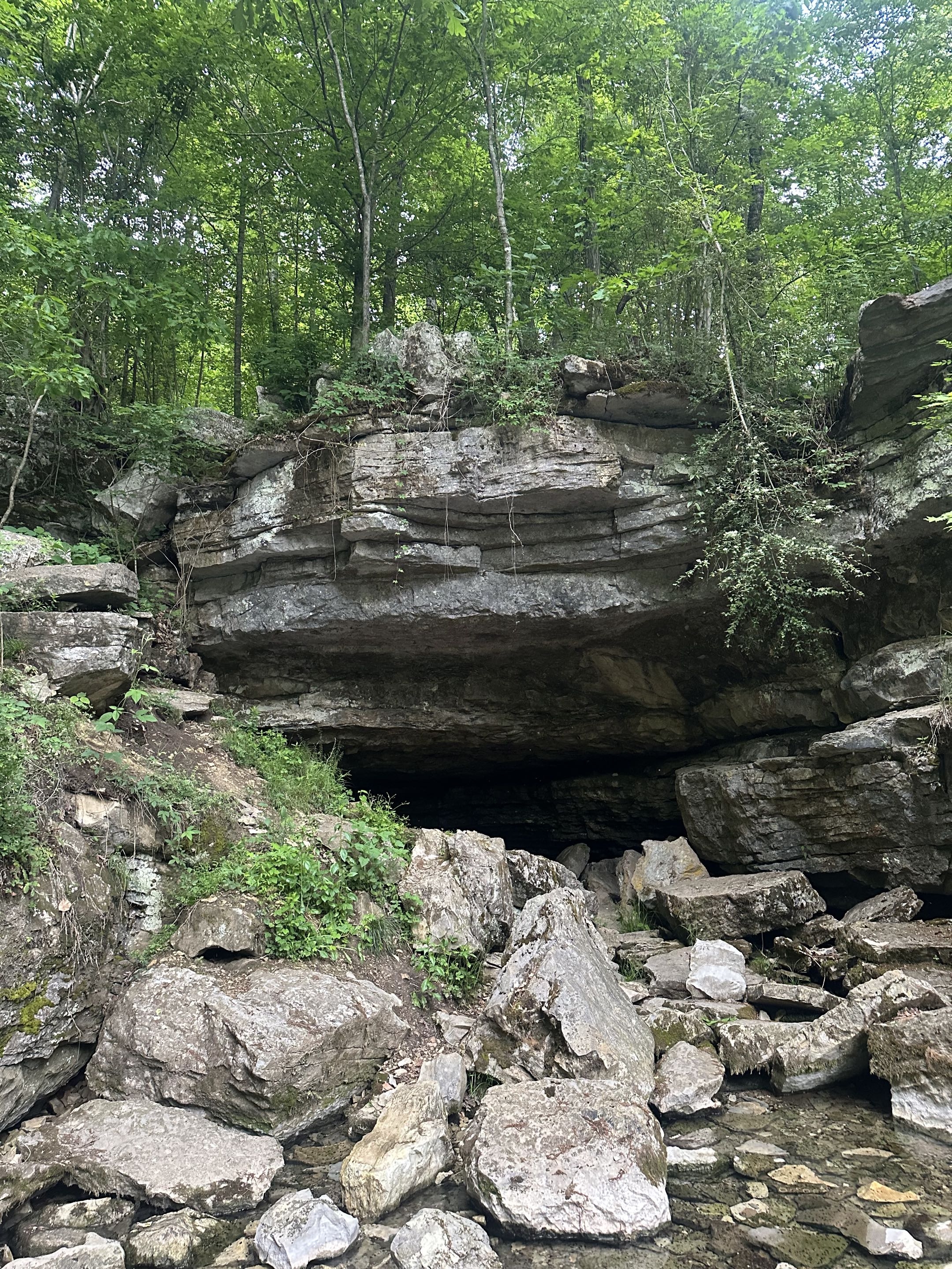 Sequatchie Cave entrance in the lower Sequatchie Valley